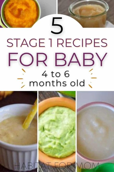 Baby Stage 1 Food, First Stage Baby Food Recipes, Make Your Own Baby Food Stage 1, Stage One Baby Food Recipes, Making Your Own Baby Food, Homemade Baby Cereal Stage 1, Baby First Foods 6 Months, First Foods For Baby 4 Months, Baby Food Recipes Stage 1 Homemade