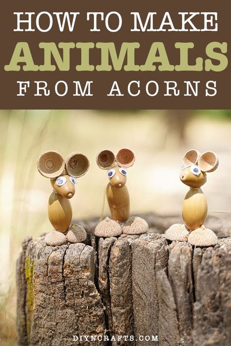 Fall Crafts Acorns, Nature Turkey Craft, Acorn Ideas Projects, Crafts With Acorn Tops, Halloween Acorn Crafts, Waldorf Nature Crafts, Acorn People Craft, Diy Fall Nature Crafts, Easy Mouse Craft