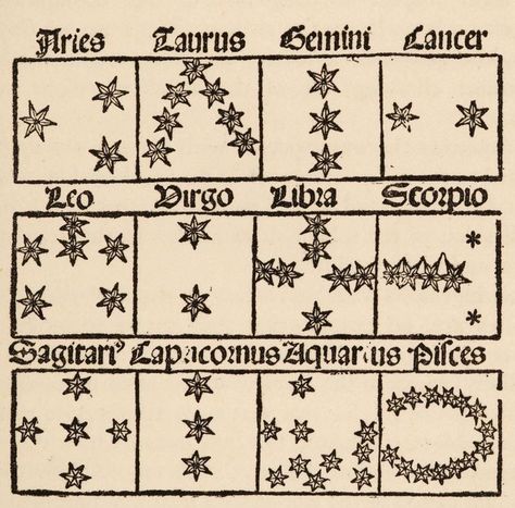 Zodiac Drawings, Occult Aesthetic, Zodiac Aesthetic, Astrology Aesthetic, Zodiac Tattoo, Old Book, 가을 패션, 15th Century, Cute Tattoos