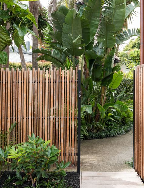 Unique Fence Ideas, Tor Design, Small Tropical Gardens, Garden Globes, Tropical Garden Design, Modern Fence, Wooden Fence, Fence Design, Modern Landscaping