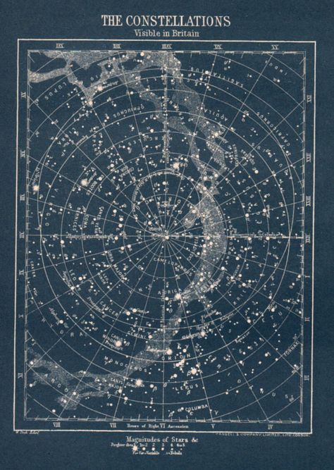 vintage 1900s Constellation star map of stars visible in Britain Photowall Ideas, Astronomy Stars, The Constellations, Star Chart, Star Constellations, Galaxy Print, Star Map, Old Map, Vintage Maps