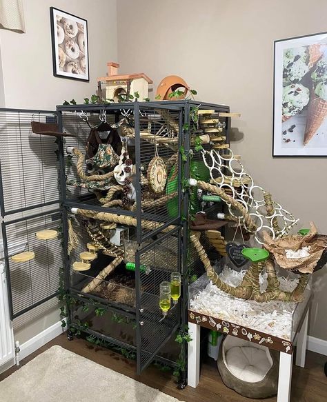 Christmas Rat Cage, Rat Playpen Ideas, Rat Enrichment Ideas, Rat Cage Set Up, Aesthetic Rat Cage, Rat Free Roam, Rat Playground, Squirrel Enclosure, Sugar Glider Cage Ideas