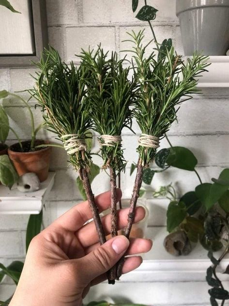 Rosemary Smudge, Wiccan Crafts, Pagan Crafts, Magia Das Ervas, Magic Party, Witch Diy, Deco Nature, Witchy Crafts, Garden Decor Diy