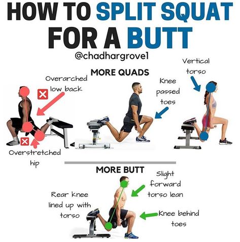 Split Squat Form, Pigeon Split Squats, Split Squats For Glutes, Back Squat Form, Crunch Workout, Abdominal Crunch, Squat Form, Split Squats, Gym Antrenmanları