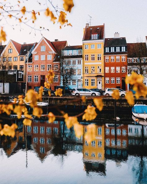 Go explore on Instagram: “Autumn in Copenhagen 🍂🍁 📷: @danielsjensen #copenhagensecrets #Copenhagen #danish #autumn #fall #colors #denmark  #week #visitcopenhagen” Copenhagen Autumn, Europe Summer Travel, Brno Czech Republic, Europe Aesthetic, Instagram Autumn, Europe Tours, Places In Europe, Europe Vacation, Europe Summer