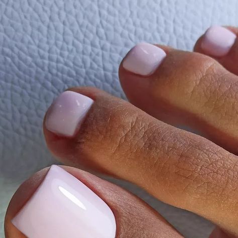 ARCOBALENO nail studio on Instagram: "THE PERFECT LIGHT PINK LOOK ARCOBALENO Nail Studio has created a soft and fresh summer look. Minimalistic and classic pedicure color - summer perfection 2022. @artistica.haircare #rubberbase #russianmanicurebelgie #russianmanicure #nagelsalon #nagels #gelnagels #arcobaleno #nailart #arcobalenonailstudio #luxesalon #belgiumnails #nailsinspiration #nailsrussia #nailart" Pedicure Light Pink, Soft Pink Pedicure, Light Pink Wedding Nails, Light Pink Pedicure, Light Pink Manicure, Classic Pedicure, Pink Pedicure, Pink Wedding Nails, Pink Look