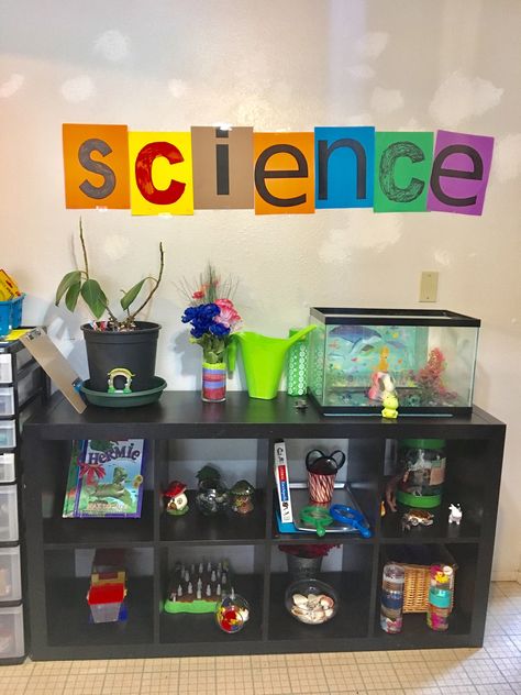 Discovery Preschool Classroom, Science Center Wall Decor Preschool, Daycare Science Center Ideas, Preschool Cubby Decorating Ideas, Monissory Classroom, Korean Preschool Classroom, Home Living Area Preschool, Preschool Science Center Setup, Science Area Preschool Classroom Center Ideas