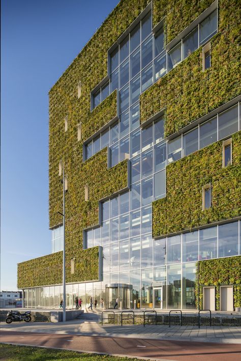 Green Building Architecture, Building Skin, Luxury Exterior, Green Facade, Pavilion Architecture, Green Walls, Green Architecture, Modern Architecture House, Building Facade