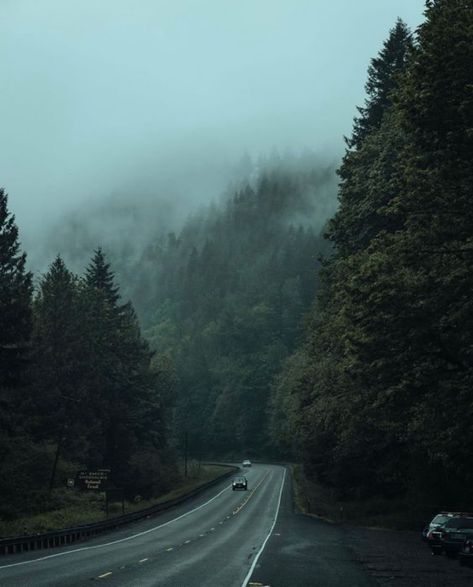 This is honestly scary😭 Moody Pnw Aesthetic, Dark Oregon Aesthetic, Washington Forest Aesthetic, Catherine Cowles, Oregon Aesthetic, Pnw Aesthetic, Oregon Nature, Dark Naturalism, Dark Forest Aesthetic