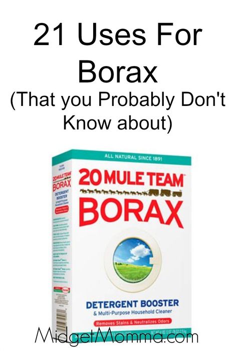 21-uses-for-borax-that-you-probably-dont-know-about Uses For Borax, Borax Uses, Borax Cleaning, Nyttige Tips, Ant Killer, Carpet Cleaning Machines, Carpet Cleaning Hacks, Homemade Cleaning Products, Household Cleaner