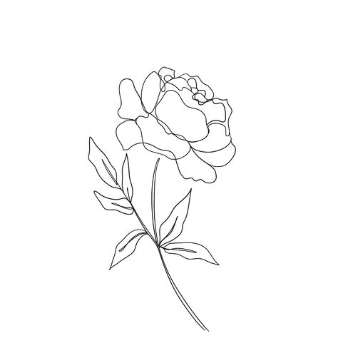 Peony Flower Line Art, Peonies Line Drawing, Peony Line Art Tattoo, Camellia Tattoo Design, Peony One Line Drawing, Peonies Line Art, Peony Line Tattoo, One Line Peony, Peony Tattoo Simple