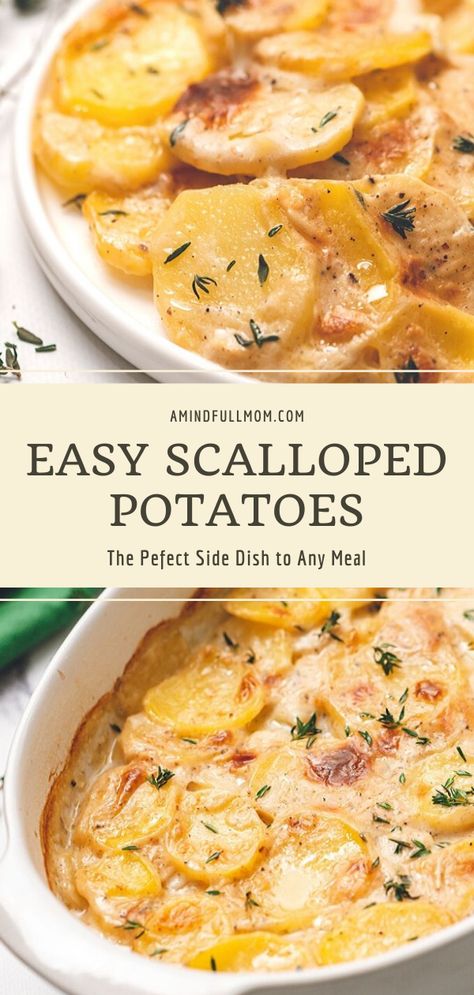 Yukon Potato Recipes, Gold Potato Recipes, Scalloped Potato Casserole, Homemade Scalloped Potatoes, Potato Side Dishes Easy, Creamy Scalloped Potatoes, Scalloped Potatoes Easy, Potatoes Baked, Simple Thanksgiving