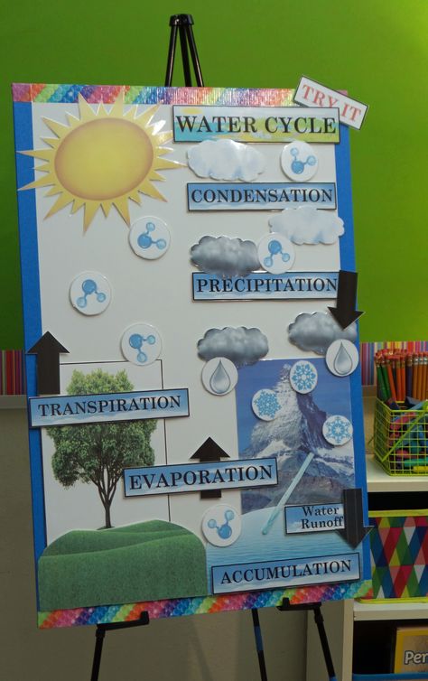 Science Charts For Classroom, Water Cycle Project Poster, Water Cycle Project Models, Water Cycle Chart, Water Cycle Anchor Chart, Anchor Charts Math, Water Cycle Model, Water Cycle Poster, Water Cycle Project