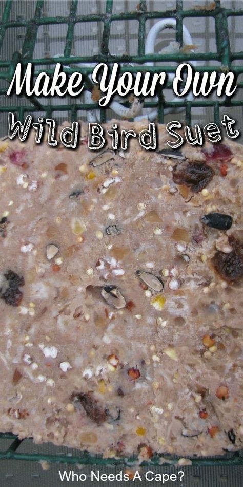 Feed your fine feathered friends with an easy to make Homemade Wild Bird Suet. Easy to make, you may never buy from the store again. Bird Seed Wreath Recipe, Suet Recipe, Backyard Birds Watching, Suet Bird Feeder, Bird Suet, Suet Cakes, Hummingbird Food, Bird Seed Ornaments, Homemade Bird Houses