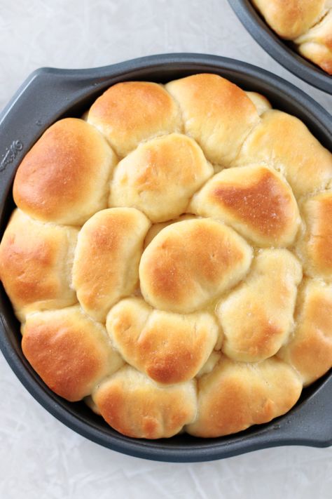 pan of Parker house rolls brushed with butter Easy Parker House Rolls, Butter Horn Rolls, Sister Shuberts Rolls Recipe, Hot Rolls Homemade, Homemade Parker House Rolls, Copycat Sister Schubert Rolls, Easy Parker House Rolls Recipe, Gluten Free Parker House Rolls, Small Batch Parker House Rolls