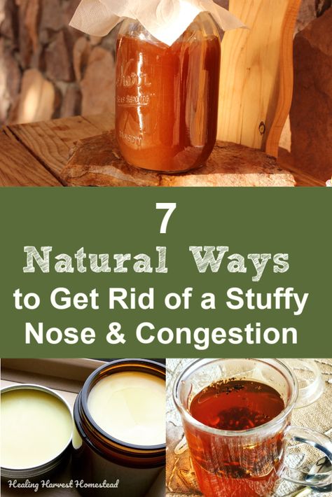 Have a stuffy nose due to seasonal allergies or a bad cold? If you need some natural ways to get rid of congestion, here are seven easy tips for you. These natural decongestants will help you feel better fast! #allergy #badcold #decongestant #congestion #sinus #stuffynose #getridof #healingharvesthomestead Remedy For Sinus Congestion, Home Remedies For Sinus, Home Remedies For Allergies, Stuffy Nose Remedy, Natural Decongestant, Stuffy Nose, Nasal Congestion, Seasonal Allergies, Natural Cough Remedies