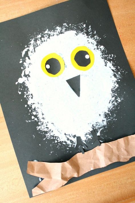 Arctic Animals Preschool Theme, Snowy Owl Craft, Snowy Owl Art, Arctic Animals Preschool, Fall Sensory, Winter Activities Preschool, Winter Art Projects, Winter Kindergarten, Snow Owl