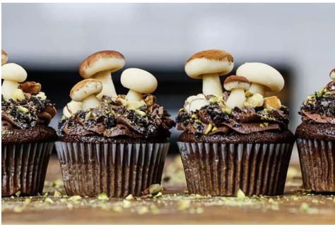 Mushroom Dessert, Mushroom Cupcakes, Mat Inspiration, Moist Chocolate Cupcakes, Hobbit Party, Healthy Cupcakes, Moist Cupcakes, Chocolate Cupcakes Moist, Chocolate Buttercream Frosting