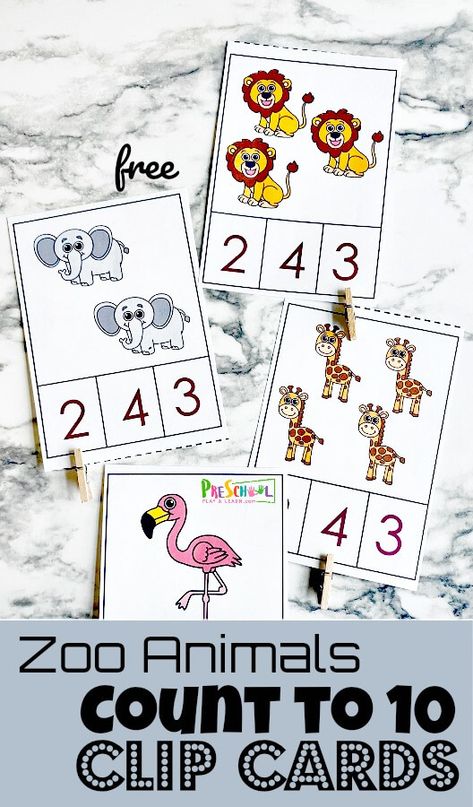 Zoo Animals Activities For Preschoolers, Zoo Activities For Preschoolers, Put Me In The Zoo Activities, Animal Math Activities Preschool, Zoo Week Preschool Activities, Put Me In The Zoo Activities Preschool, Zoo Theme Preschool Activities, Animal Preschool Theme, Zoo Preschool Activities