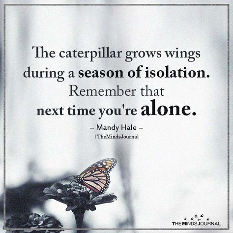 The caterpillar grows wings during a season of isolation. Remember that next time you're alone. Mandy Hale Now Quotes, Inspirational Thoughts, Quotable Quotes, A Quote, Wise Quotes, Inspiring Quotes, Meaningful Quotes, The Words, Caterpillar