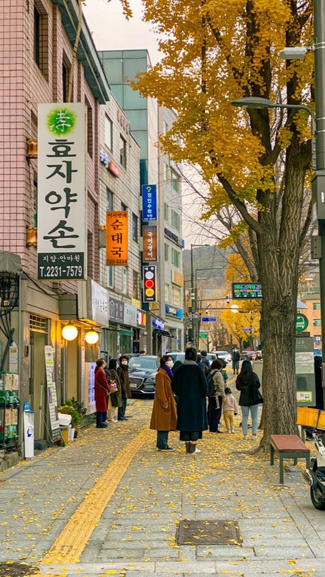 Living In Korea Aesthetic, Korea Core Aesthetic, Korea Asethic, Korea Vibes Aesthetic, Seoul Wallpaper, Korean Vibes, Korea Autumn, Korea Street, Autumn In Korea