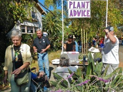 What Is A Plant Swap ? Plant Swap Rules For Seed And Plant Exchanges Gardening Zone 5, Plant Rescue, Asparagus Plants, Plant Swap, Seed Swap, Seed Exchange, Nature Club, Growing Asparagus, Frugal Gardening