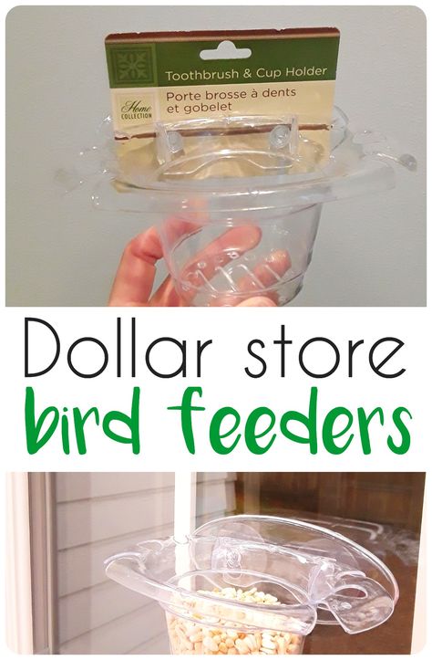 Grab some of these bathroom containers from your local dollar store and turn them into instant bird feeders! They have suction cups for the windows and little drain holes at the bottom to drain out rain water. It's perfect! #diy #birdfeeder #repurpose #dollarstore Diy Upcycled Bird Feeder, Diy Bird Water Feeder, Diy Window Bird Feeder, Bird Feeders Diy Homemade, Diy Bird Feeder Easy, Mason Jar Bird Feeders Diy, Bird Feeders Window, Diy Birdfeeders, Bird Feeders For Kids To Make