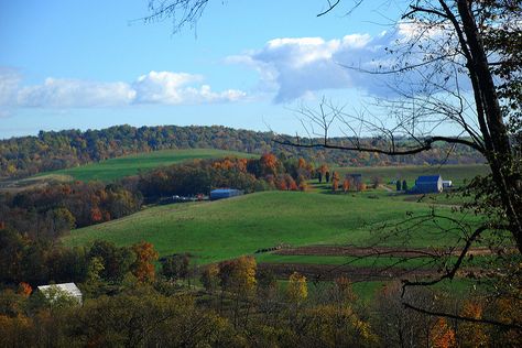 PA Farm Scenery | Western Pennsylvania Fall Landscape | Flickr - Photo Sharing! Pennsylvania Landscape, Pennsylvania Fall, Farm Scenery, Turkey Hill, Western Pennsylvania, Fall Landscape, Living Dead, Better Days, Autumn Landscape