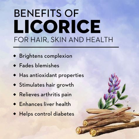 licorice benefits Liquorice Root Benefits, Egyptian Licorice Tea Benefits, Benefits Of Licorice Root, Benefits Of Licorice Root Tea, Licorice Root Magical Properties, Licorice Root Tea Benefits, Dgl Licorice Benefits, Licorice Root Benefits Skin, Licorice Tea Benefits