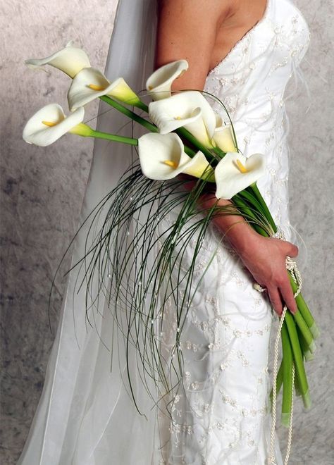 Arm Bouquet, Bouquet Shapes, Unusual Wedding Bouquets, Calla Lillies Bouquet, Potluck Wedding, Calla Lily Colors, White Calla Lily Bouquet, Brides Flowers, Homecoming 2022