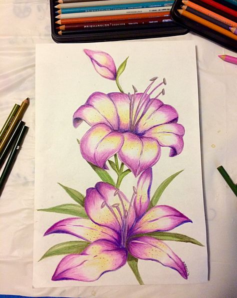 To finish.. (pencil and prisma colored pencils on paper...) by Danielle Colucci 2017 Flowers Drawing With Pencil Colors, Flower Painting Color Pencil, Color Pencil Sketch Flowers, Simple Coloured Pencil Drawings, Color Pencil Flower Art, Drawing Ideas Colour Pencil Beginner, Flower Sketches Colored Pencil, Color Pencil Sketch For Beginners, Flowers Color Pencil Drawing