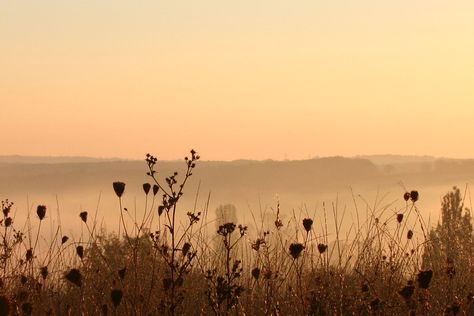 morning Vintage Desktop Wallpapers, Google Backgrounds, 컴퓨터 배경화면, العصور الوسطى, The Garden Of Words, Laptop Wallpaper Desktop Wallpapers, Cute Laptop Wallpaper, Desktop Wallpaper Art, Morning Mist