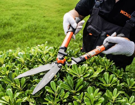 Landscape Tools, Cedar Hedge, Hedge Trimming, Boxwood Hedges, Family Yard, Flower Hedge, 16 Aesthetic, Trimming Hedges, Hedge Shears