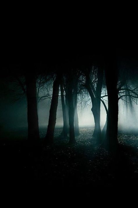 Dark Places, Dark Photography, Dark Forest, Enchanted Forest, Black Forest, 그림 그리기, Belle Photo, Dark Aesthetic, Dark Art