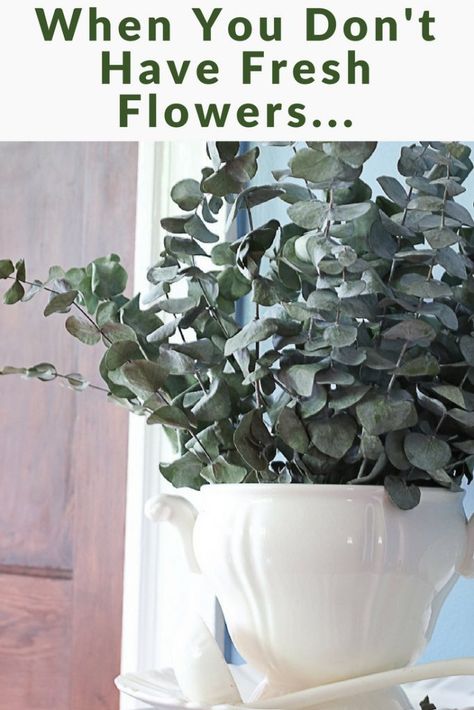 Decorating With Eucalyptus Branches, Faux Eucalyptus Arrangement, Dry Eucalyptus Decor, Dried Eucalyptus Arrangement, Dried Eucalyptus Uses, Eucalyptus Crafts, Dried Eucalyptus Decor, Decorating With Eucalyptus, Bouquet Home Decor