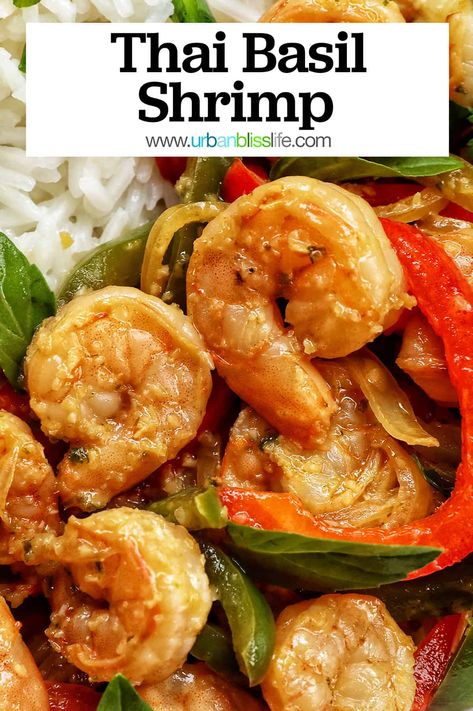 This Thai Basil Shrimp recipe is a popular Thai street food that is easy to make at home in under 30 minutes! Perfect weeknight dinner with rice. Get the easy Thai recipe at UrbanBlissLife.com. Thai Basil Salmon, Thai Shrimp Recipes, Thai Basil Shrimp, Thai Basil Sauce, Thailand Recipes, Polynesian Dishes, Thai Basil Recipes, Thai Recipes Dessert, Coconut Chicken Recipe