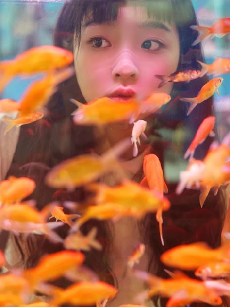 Looking Through Fish Tank, Fish Tank Photoshoot, Aquarium Pose Ideas, Fish Tank Photography, Photography Self Portrait Ideas, Aesthetic Goldfish, Aquarium Photoshoot, Aesthetic Black Outfits, Cottage Core Pastel