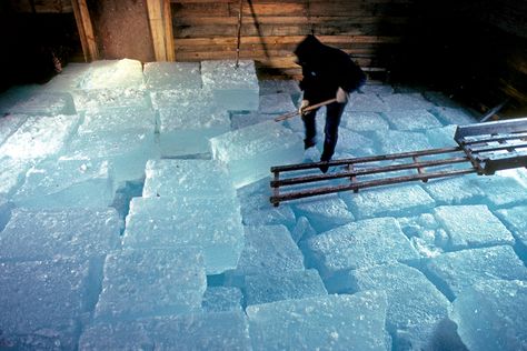 Before modern refrigeration, the ice harvest on freshwater ponds was a staple of Maine winters. Local ice went to use in homes, on fishing boats, and, of course, in making ice cream. Modern Refrigerator, Making Ice Cream, Ice House, Maine Art, Beer Hall, Ice Houses, Ice Blocks, Valley Road, Make Ice Cream