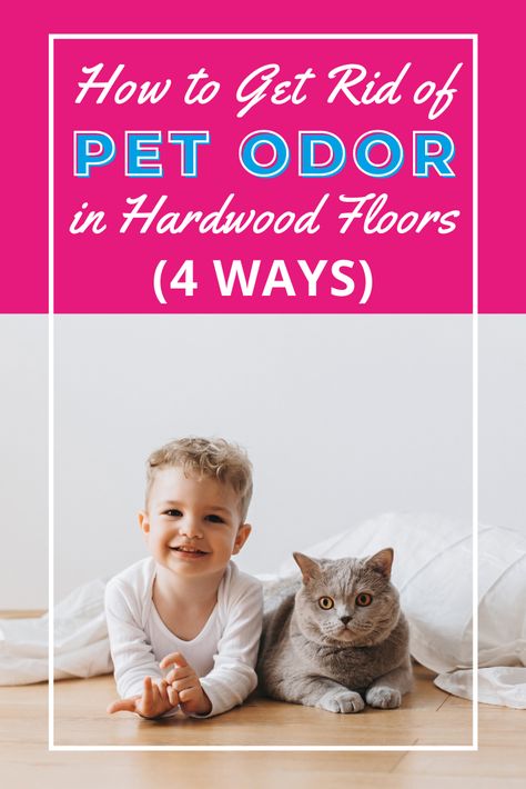 Getting Dog Pee Smell Out Of Wood Floor, Remove Pet Urine From Wood Floors, How To Get Rid Of Dog Urine Smell Hardwood Floors, Urine Smell Out Of Hardwood Floors, How To Get Dog Urine Smell Out Of Hardwood Floors, How To Get Pee Smell Out Of Wood Floors, How To Get Dog Pee Smell Out Of Hardwood, How To Get Cat Pee Out Of Wood Floors, Dog Pee Smell Out Of Wood Floors