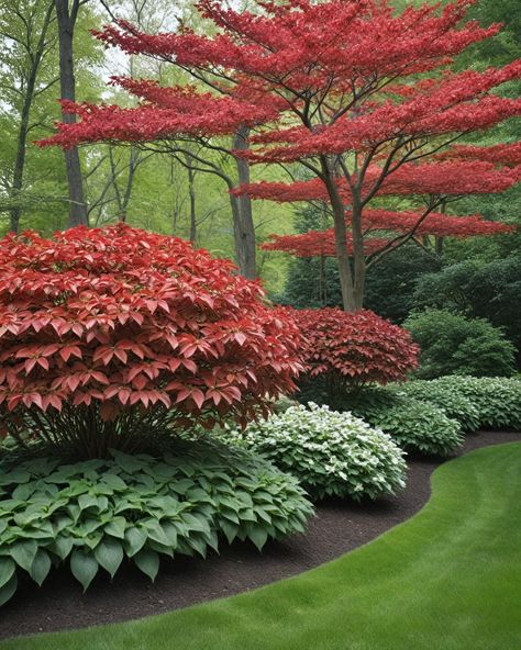 Looking to spruce up your Midwest garden? Garden Islands Front Yard, Plant Combinations Landscape Design, Midwest Landscaping Front Yard, Modern Garden Inspiration, Japanese Maple Tree Landscape, Maple Tree Landscape, Midwest Garden, Landscape Ideas Front Yard Curb Appeal, Design Garden Ideas