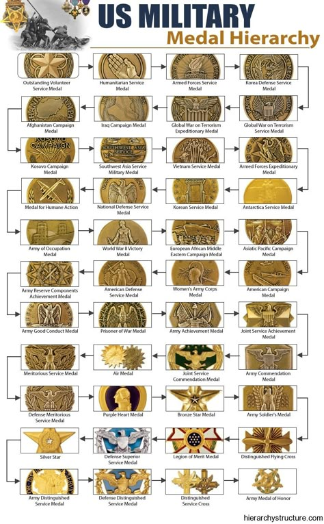 military medals - Google Search Hierarchy Chart, Us Military Medals, Army Medals, Military Awards, Army Ranks, Military Ranks, Military Patches, Military Orders, Military Medals