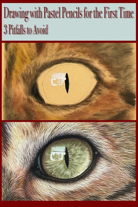 These were my first attempts at working with pastels, both pans and pencils. Read about my process here, getting over my fears and avoiding pitfalls. #panpastels #pastelmat #pittpastels #carandacepastels Color Pencil Picture, Drawing With Pastels, Soft Pastels Drawing, Soft Pastel Art, Eyes Artwork, Colored Pencil Artwork, Keeping It Real, Pastel Artwork, Animal Portraits Art