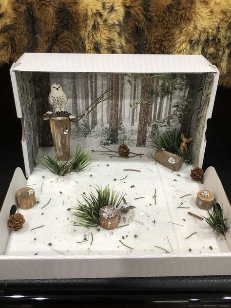 Shoe box, some left over woods and painted it brown😉.  Some plastic grass, white felt material to look snowy.  Printed background and paste it to give that forest look.  Lastly, tiny white stone scattered around to add the snowy feeling. School Shadow Box Ideas, Shoe Box Biome School Projects, Woodland Forest Diorama, Shoe Box Habitat Projects, Shoe Box Diorama Projects, Diarama Ideas Kids, Owl Diorama, Shoe Box Art, Shoe Box Diorama