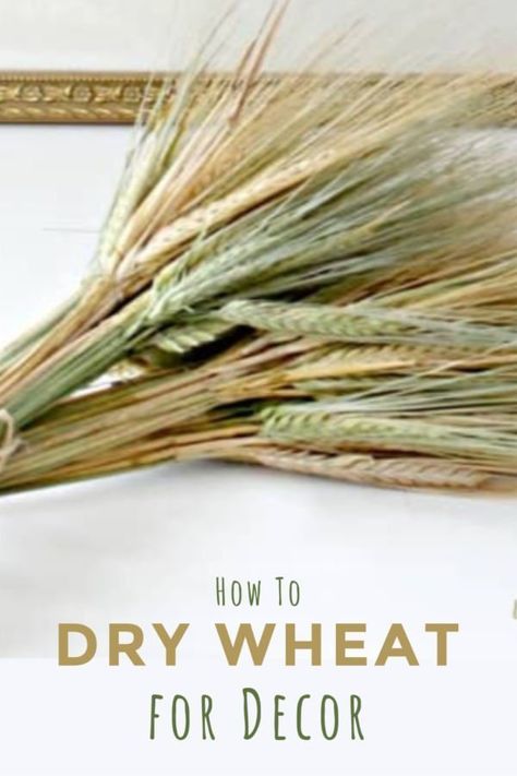 Dollar Store Fall Crafts Diy, Diy Wreaths Easy, Wheat Decorations, Wheat Wedding, Wheat Stalk, Fall Sewing Projects, Cheap Fall Decor, Dried Wheat, Fall Activity