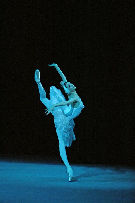 Svetlana Zakharova as Odette in Bolshoi Ballet's production of Swan Lake - Photo Credit: © Damir Yusupov, Bolshoi Theatre - Maxamoo Ballet Stuff, Swan Lake Ballet, Svetlana Zakharova, Ballet Images, Ballerina Project, Ballet Pictures, Bolshoi Theatre, French Twists, Ballet Beauty