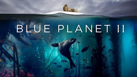 An extraordinary BBC series narrated by David Attenborough, drawing from thousands of hours of underwater dive footage from thirty-nine different countries. The Blue Planet, David Attenborough, Earth 2, Blue Planet, Field Notes, Discovery Channel, Dirty Dancing, Animal Behavior, Radiohead