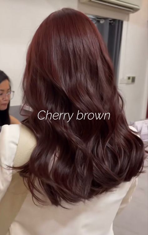 Hair Color For Chinese Women, Brown To Amber Hair, Hair Colors That Grow Out Well, Red Brown Shag Hair, Hair Colours For Straight Hair, Hair Colors That Make Hazel Eyes Pop, Cool Tone Red Brown Hair, Popular Korean Hair Color, Medium Brown Red Hair Color