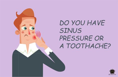 Our human body is a confused biological system. Isn’t it? The Interlink of the organs is so complex and complicated within the body. One such confusing and bothering pain in the body is sinus pressure and toothache. Sinus and teeth both stay close to each other near the nasal cavity, and so if pain occurs, we will not be able to identify it. However, a dentist will be able to judge if the pain is due to sinus pressure or a toothache. Biological System, Clogged Sinuses, Tooth Pain Relief, Sinus Cavities, Tooth Ache Relief, Tooth Infection, Sinus Pain, Nasal Cavity, Sinus Pressure