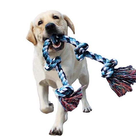 Dog Toys Indestructable, Tough Dog Toys, Rope Dog Toys, Best Dog Toys, Dog Teeth Cleaning, Dog Ball, Medium Dog, Rope Dog, Dog Activities