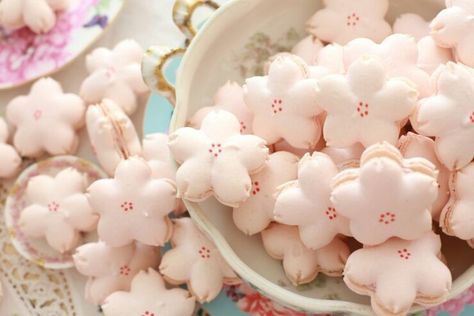 Kawaii Dessert, Cute Baking, Pretty Dessert, Pink Foods, Japanese Snacks, Japanese Sweets, Kawaii Food, Japan Food, Cute Desserts